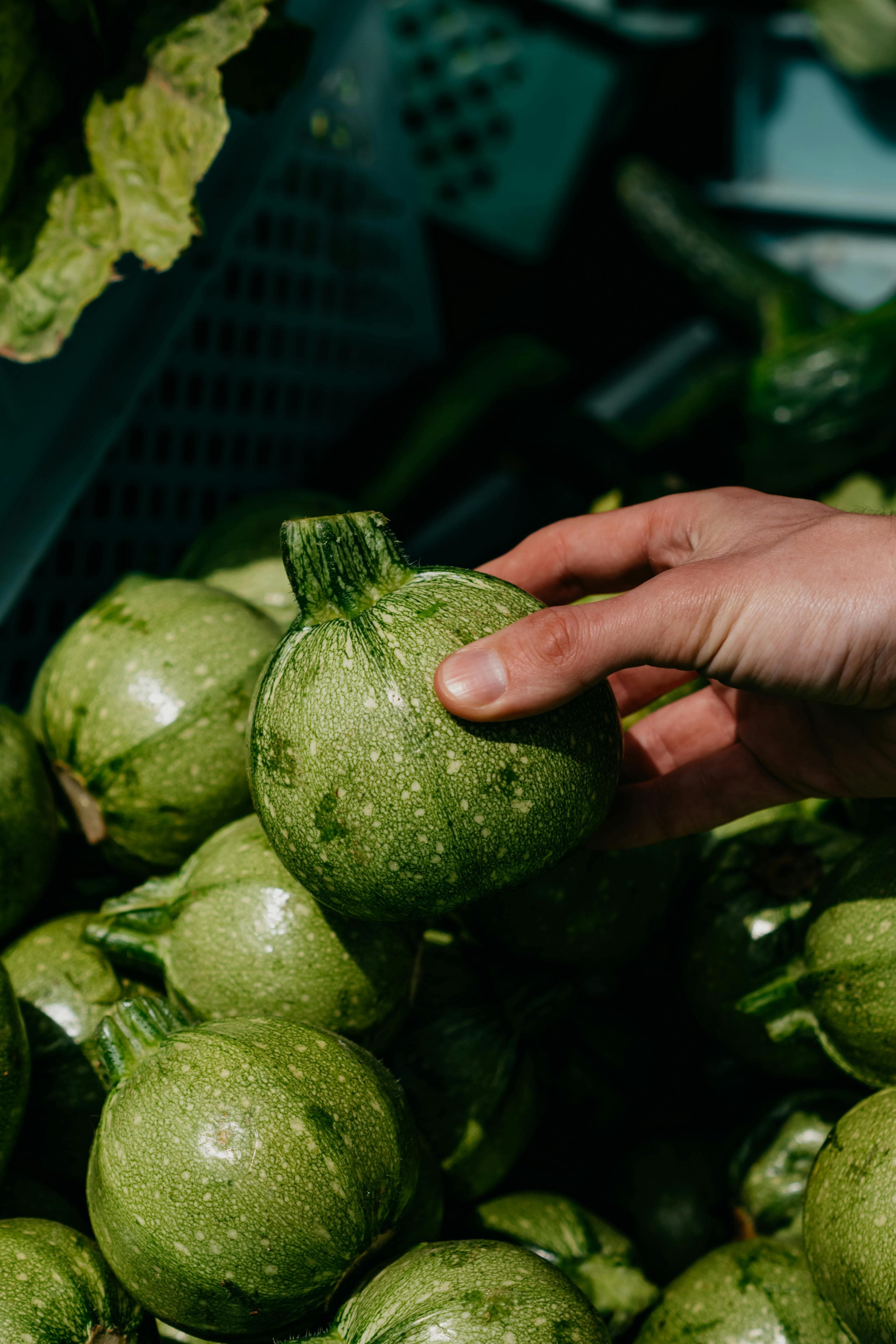 Fresh local produce
